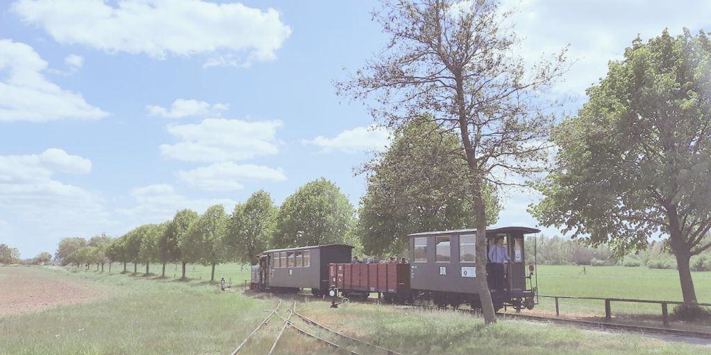 Zug bei der Ausfahrt vom Bahnhof Schwichtenberg Richtung Gleisdreieck